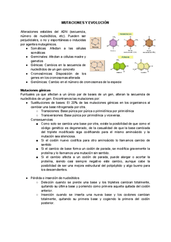 MUTACIONES-Y-EVOLUCION.pdf