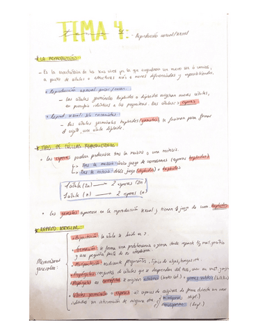 fundamentos-vegetales.pdf