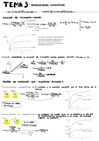 Tema-3-BR.pdf