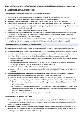 TEMA-5-PSICOMOTRICIDAD.pdf
