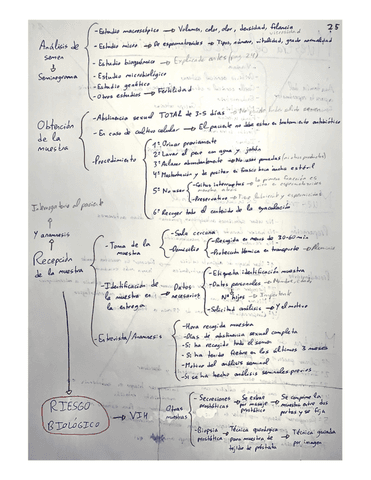 Resumen-Tema-4-Parte-2-GMB.pdf