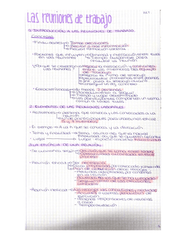 LAS-REUNIONES-DE-TRABAJO.pdf