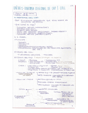 ANATOMIA-REGIONAL-DE-CAP-I-COLL.pdf