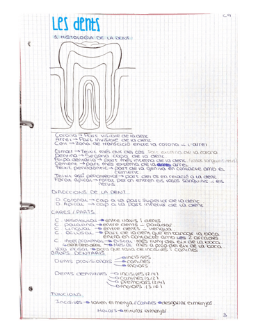 LES-DENTS.pdf