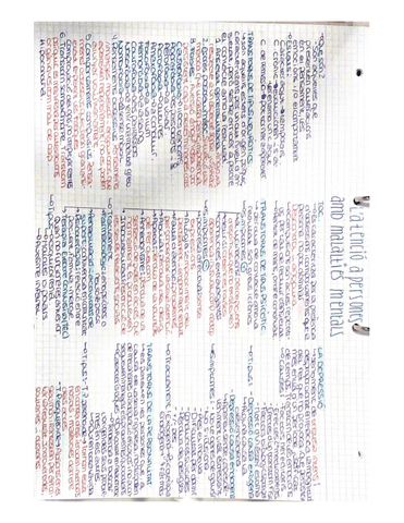 ATENCIO-A-PERSONES-AMB-MALALTIES-MENTALS.pdf