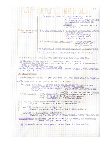 INSTRUMENTAL-I-CARRO-DE-CURES.pdf