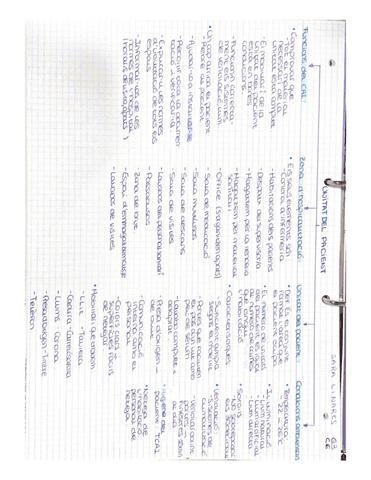 UNITAT-DEL-PACIENT.pdf