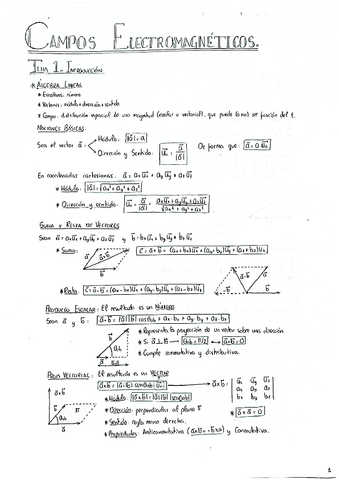 CAMPOS: T.4 (Introd. Electromagnetismo).pdf