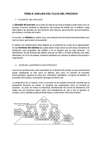 TEMA-5-ANALISIS-DEL-FLUJO-DEL-PROCESO.pdf