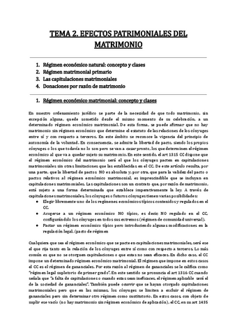 TEMA-2.pdf