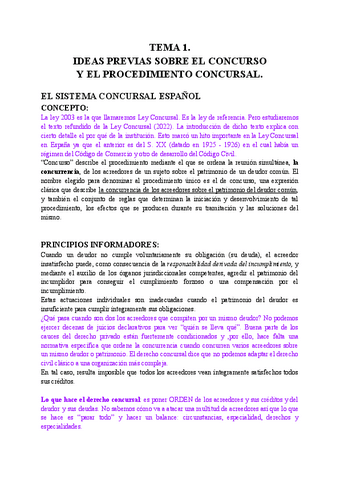 Tema-1-Mercantil-3.pdf