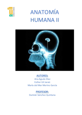 TEMA 1- Anatomía Humana II.pdf