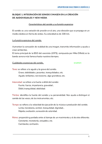 APUNTES-DE-CAU-tema-1.pdf