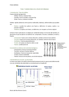 SOLIDO DEFORMABLE.pdf
