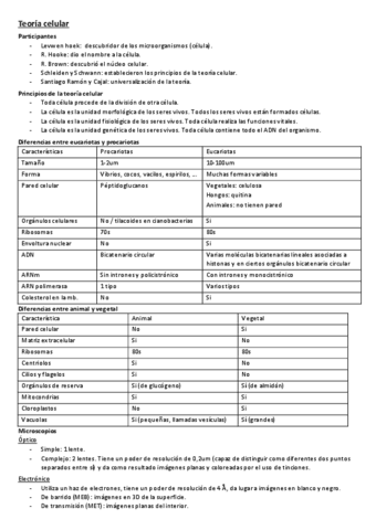 6-teoria-celular.pdf