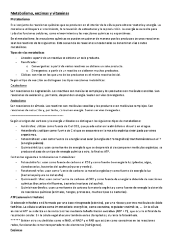 9-el-metabolismo-las-enzimas-y-las-vitaminas.pdf