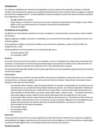 10-catabolismo.pdf