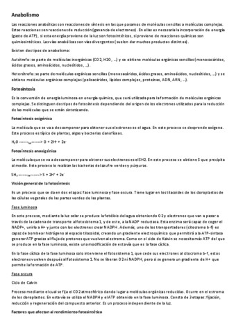 11-anabolismo.pdf