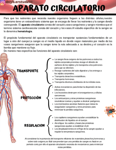 APARATO-CIRCULATORIO.pdf