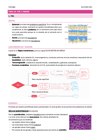 TEMA 19 - Piel y anejos.pdf