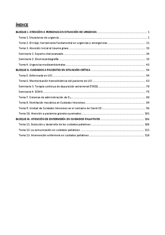 TEMARIO-COMPLETO-COMPLEJOS.pdf