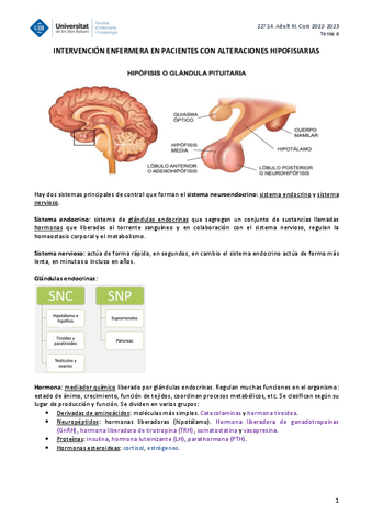 ADULT-III-TEMA-6.pdf