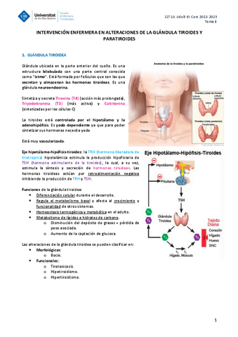 ADULT-III-TEMA-8.pdf