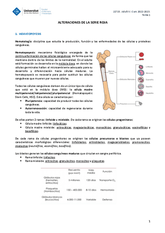 ADULT-IV-TEMA-1.pdf