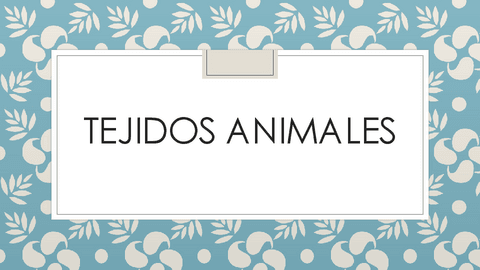 Tejidos-animales-1.pdf