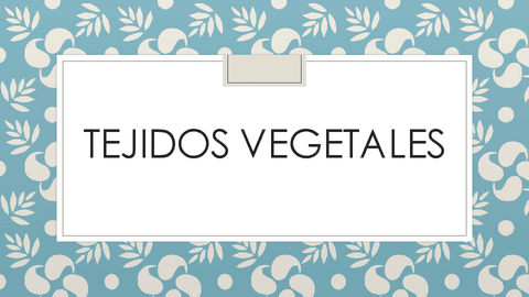 TEJIDOS-VEGETALES-1.pdf