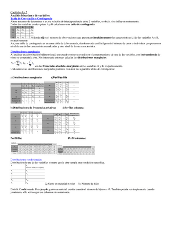 analisis-tema-4-y-5-teoria.pdf