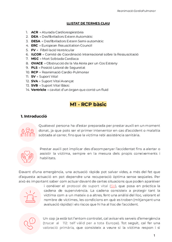 RCP-primers-auxilis.pdf