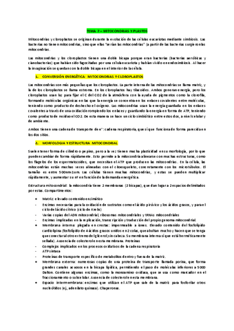 Tema-7.pdf
