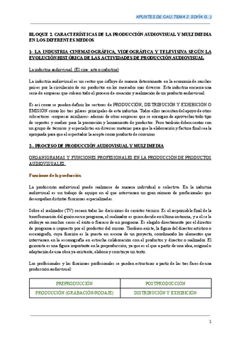 APUNTES-DE-CAU-tema-2.pdf