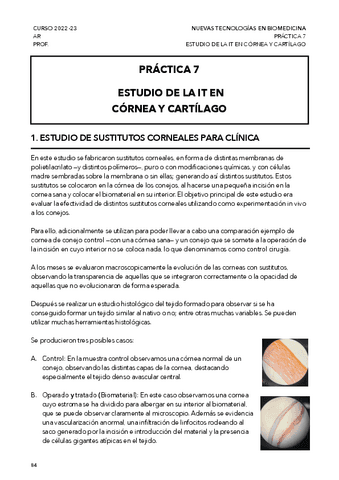 Practica-7-IT-en-cornea-y-cartilago.pdf