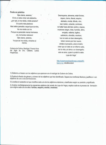 el-adjetivo-4.pdf