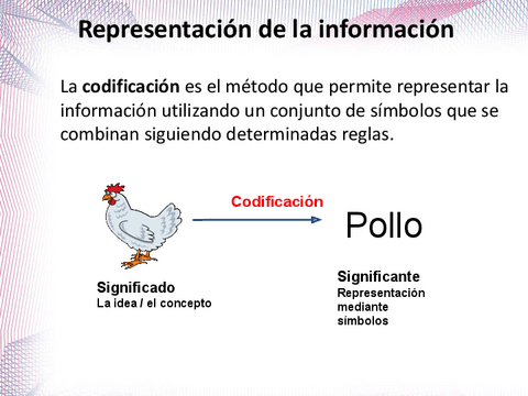 PNIRepresentaciondelainformacion.pdf