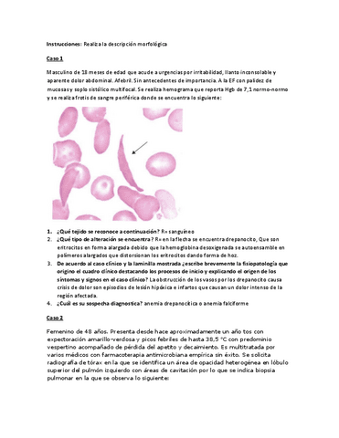 Casos-clinicos-Morfologia-Patologica.pdf