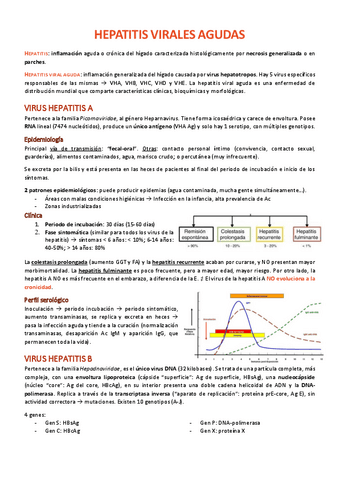 HEPATITIS-VIRALES-AGUDAS.pdf