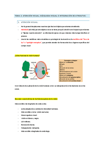 TEMA-2-APM.pdf