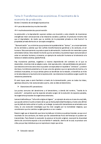 tema-3-prehistoria-II.pdf