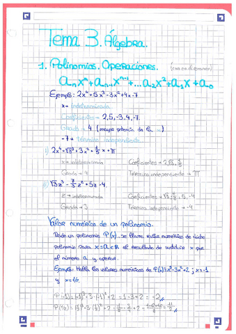TEMA-3-Algebra.-Polinomios-Identidades-notables-Ecuaciones-de-2a-y-mayor-grado-Ecuaciones-con-radicales-Ecuaciones-con-x-en-el-denominador. Sistemas de ecuaciones. Apuntes y ejercicios..pdf