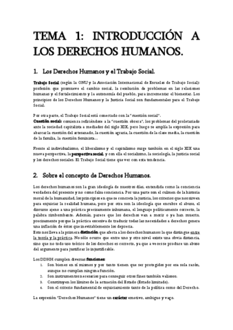 Apuntes-DDHH-todo.pdf