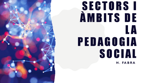 Sectors-i-ambits-de-la-pedagogia-social-r1.pdf
