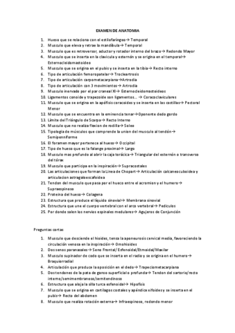 Preguntas-de-Primer-Parcial.pdf