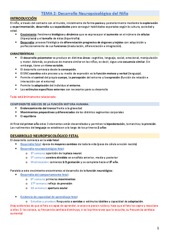 TEMA-2.pdf