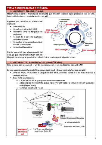 BC-Tema7inestabilitat.pdf