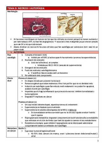 BC-Tema9necrosi-autofagia.pdf