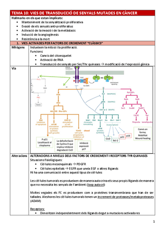 BC-Tema10viessenyal.pdf