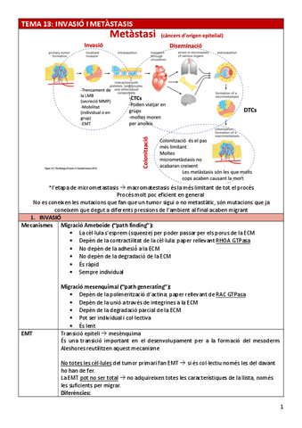 BC-Tema13metastasis.pdf